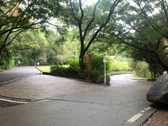 -白云山风景名胜区