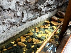 -東茅街茶馆
