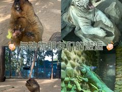 -北京野生动物园