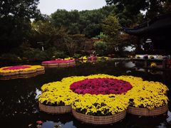 -汇龙潭