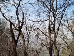 -终南山南五台景区