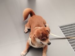 -汉阳廷自助烤肉(同和金铂天地店)