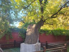-天宁寺