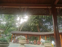 -碧水湾温泉