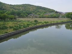 -上海佘山国家森林公园天马山园