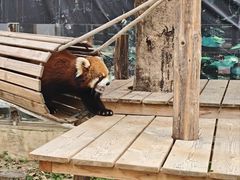 -呀诺达热带雨林