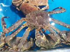 -盒马鲜生(悦峰店)