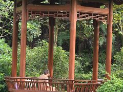 -云溪植物园
