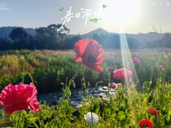 -中国丹阳眼镜城