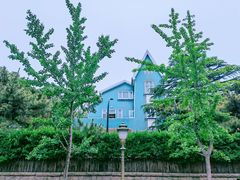 -八大关景区