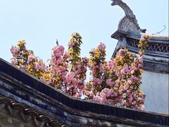 -南翔古镇