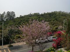 -小南山公园