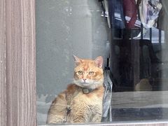 -Again Coffee Roaster(香蜜湖店)