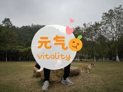-火炉山森林公园