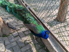 -南京金牛湖风景区