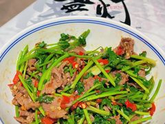 香菜炒牛肉-壹盏灯(惠农店)