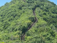 -大岭沟猕猴桃谷风景区