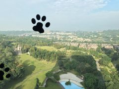 -成都保利公园皇冠假日酒店(熊猫基地店)
