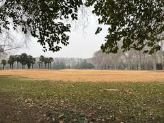 -河南省黄河迎宾馆