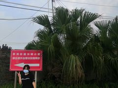 -光明小镇欢乐田园