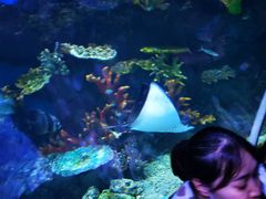 -华夏文旅海洋公园