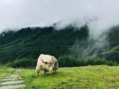 -硗碛藏寨·神木垒景区