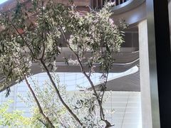 -SHAN山(前滩太古里店)