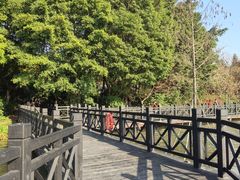 -海珠湖公园