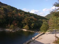-龙道沟景区