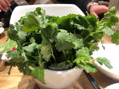 -掂档潮汕牛肉火锅(沈阳万象城店)