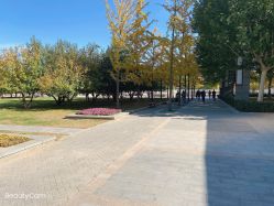 -大望京儿童游乐场