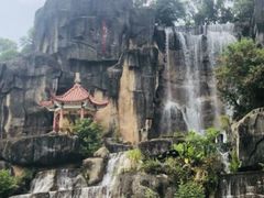 -金鸡山公园