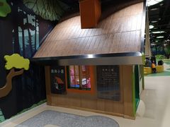 -中国宋庆龄青少年科技文化交流中心