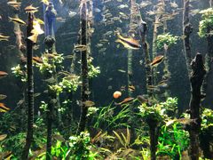 -成都浩海立方海洋公园