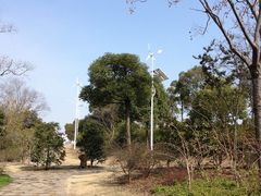 -新江湾城公园