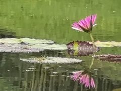 -云溪植物园