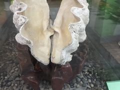 -中国湿地博物馆