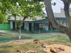 -西霞口神雕山野生动物世界