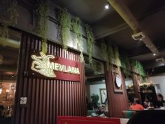 -梅夫娜土耳其餐厅.清真HALAL