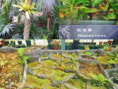 -国家植物园南园