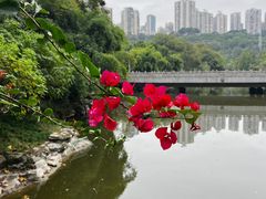 -龙头寺公园