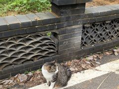-青龙山国家森林公园