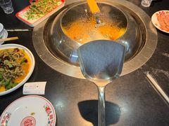 -高家小院铁锅炖大鹅(哈西高铁站店)