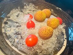 -青年星厨烤鸭店(星城店)