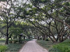 -江心屿景区