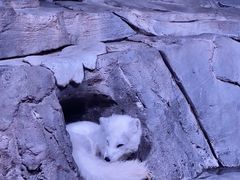 -正佳极地海洋世界