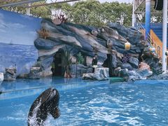 -上海野生动物园