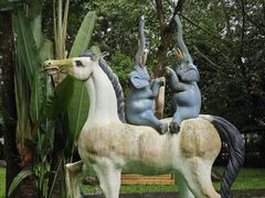 -瑞丽独树成林风景区