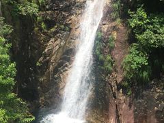 -花岩国家森林公园