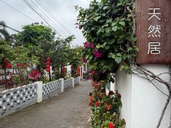 -天然居(伦教店)